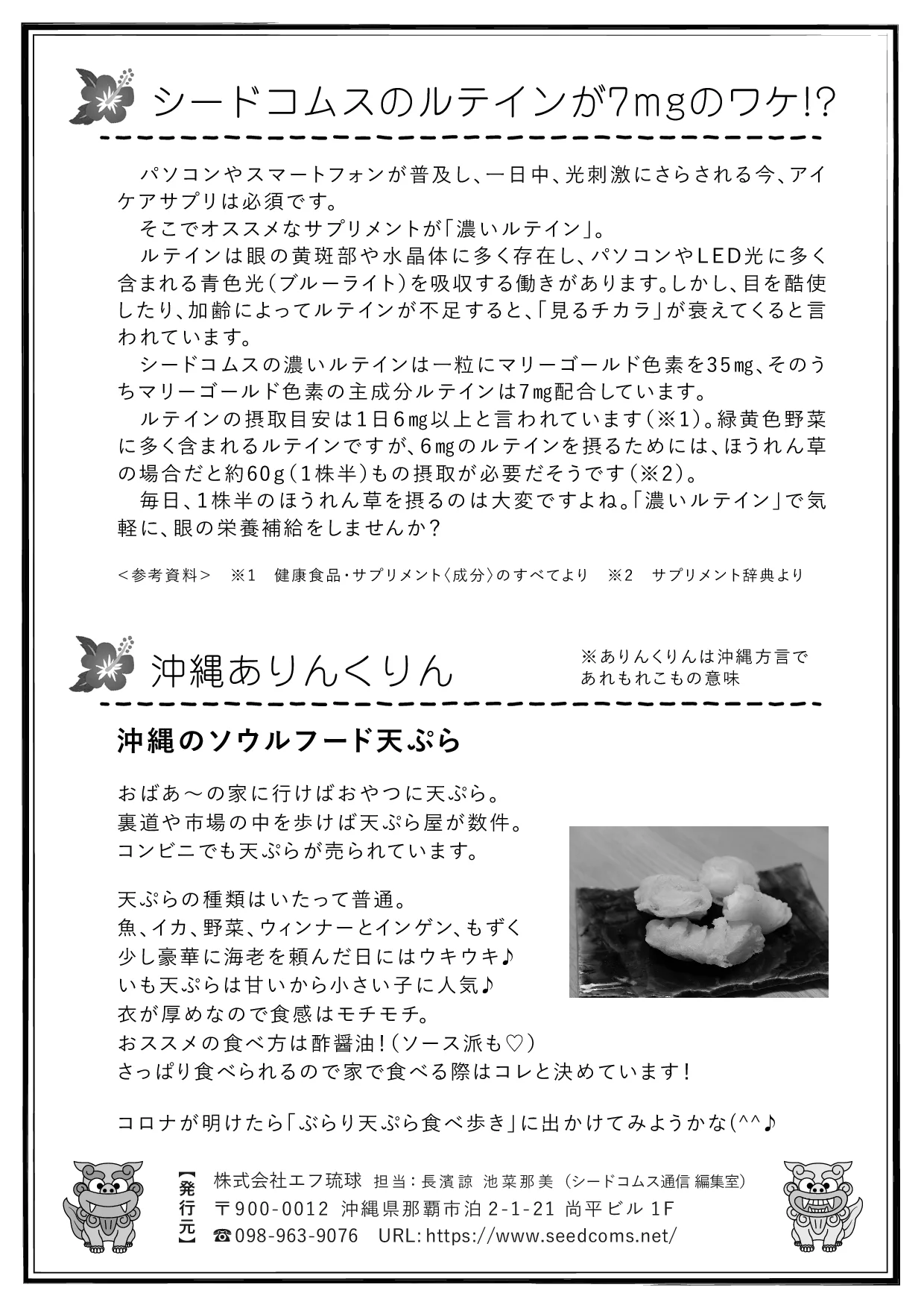 シードコムス通信 第1号 裏面