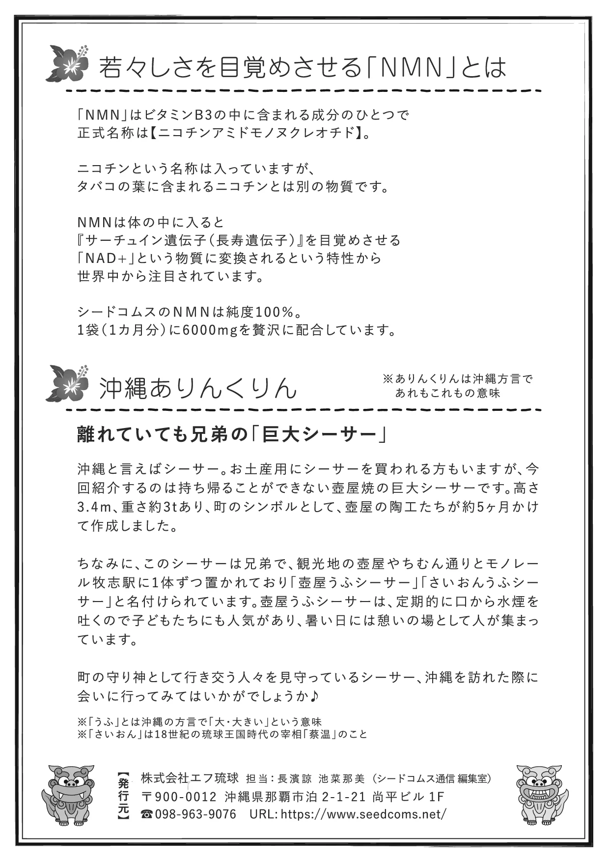 シードコムス通信 第13号 裏面