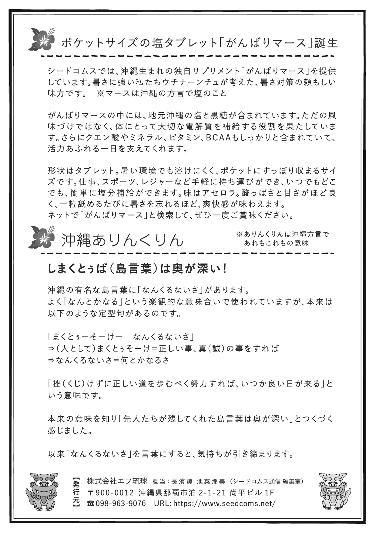 シードコムス通信 第19号 裏面