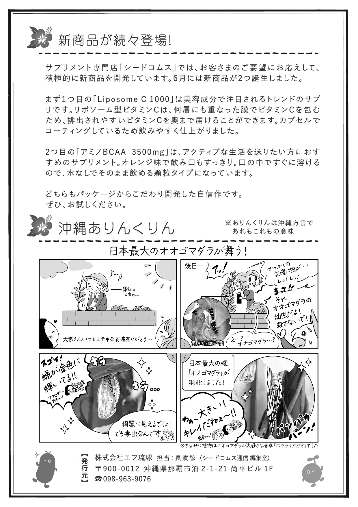 シードコムス通信 第30号 裏面