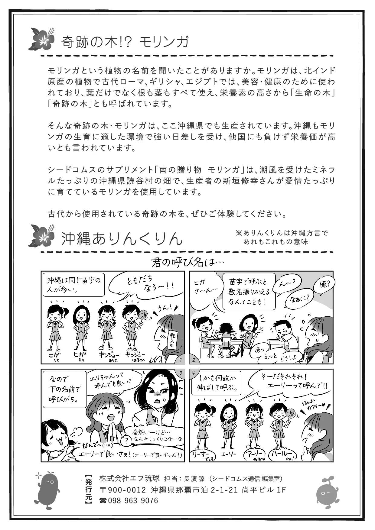 シードコムス通信 第31号 裏面