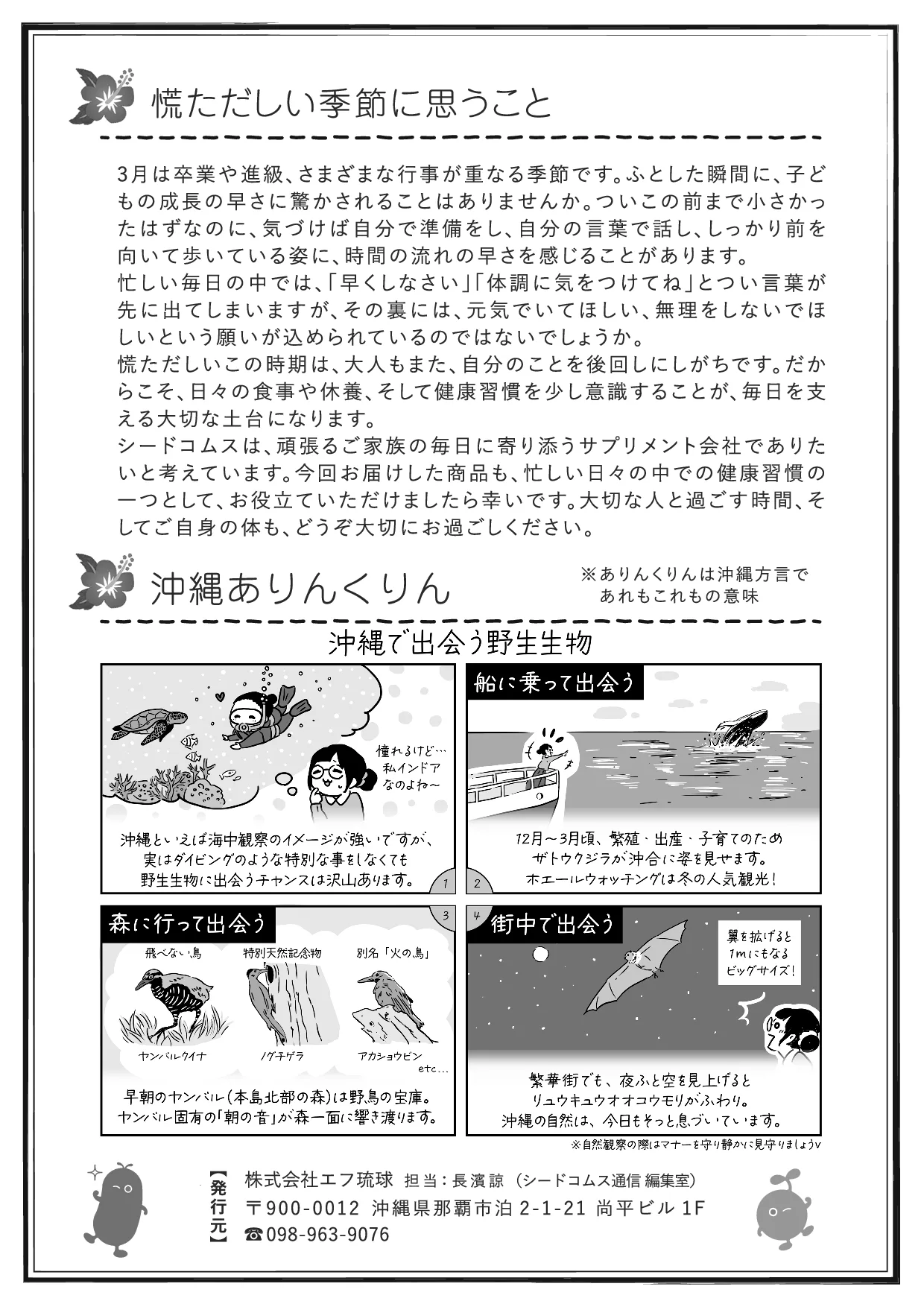 シードコムス通信 第50号 裏面