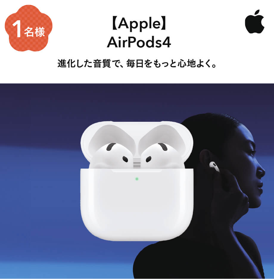 keihin apple airPods 100