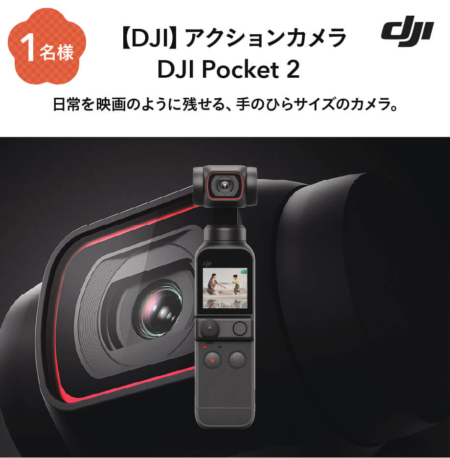 keihin dji 100