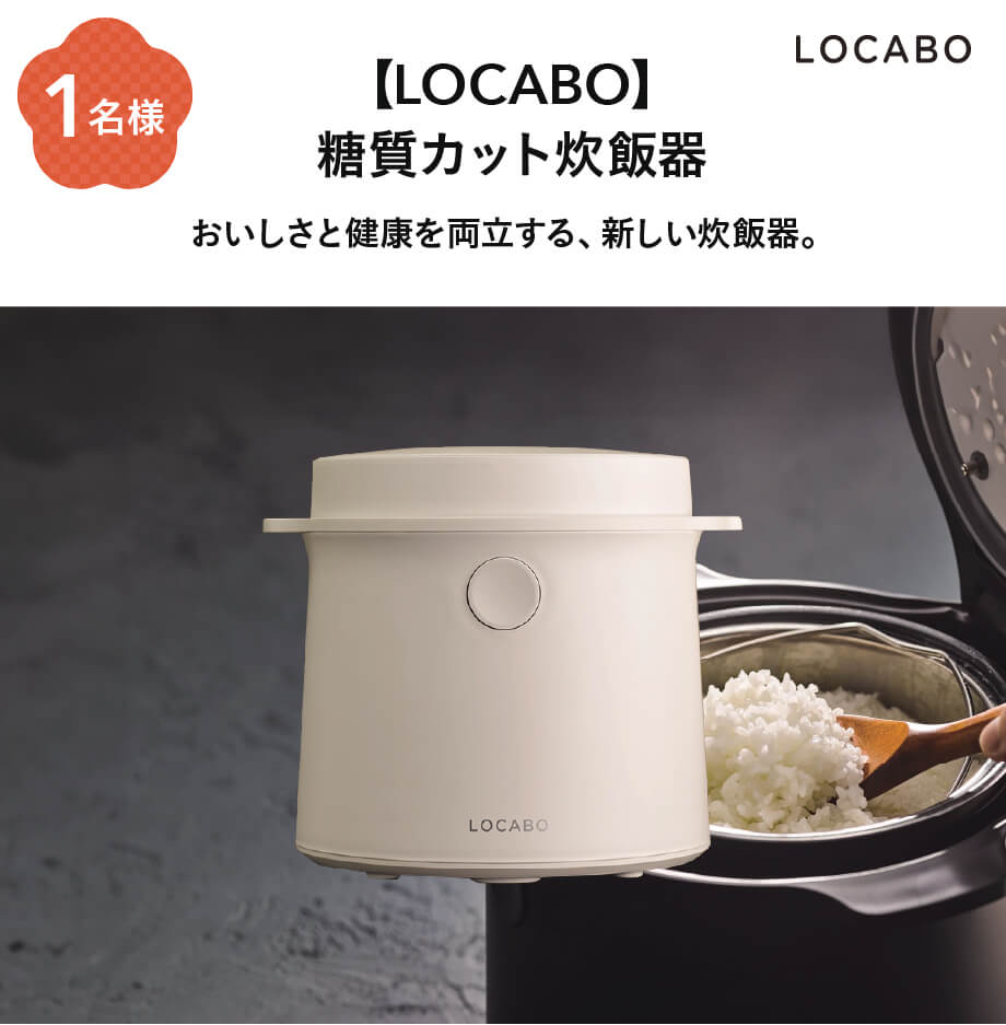 keihin locabo 100
