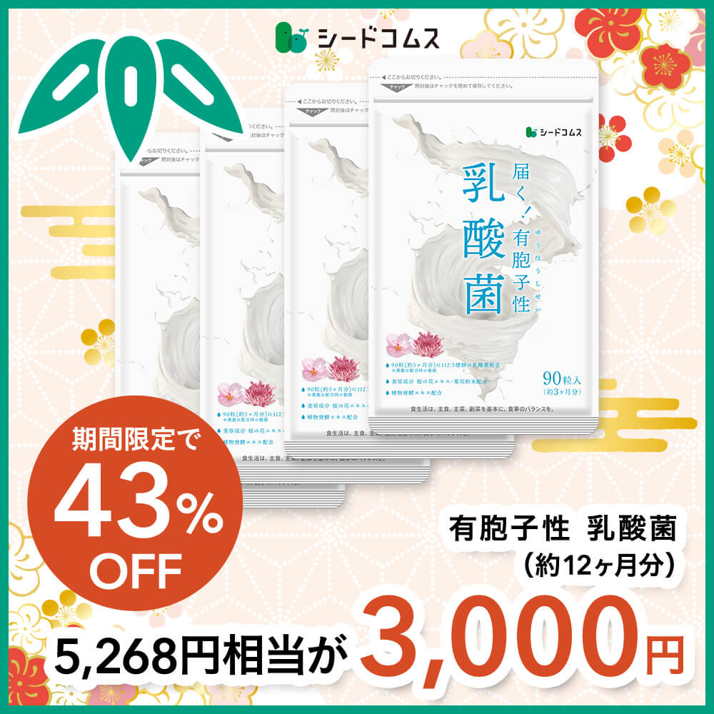 keihin apple airPods 100